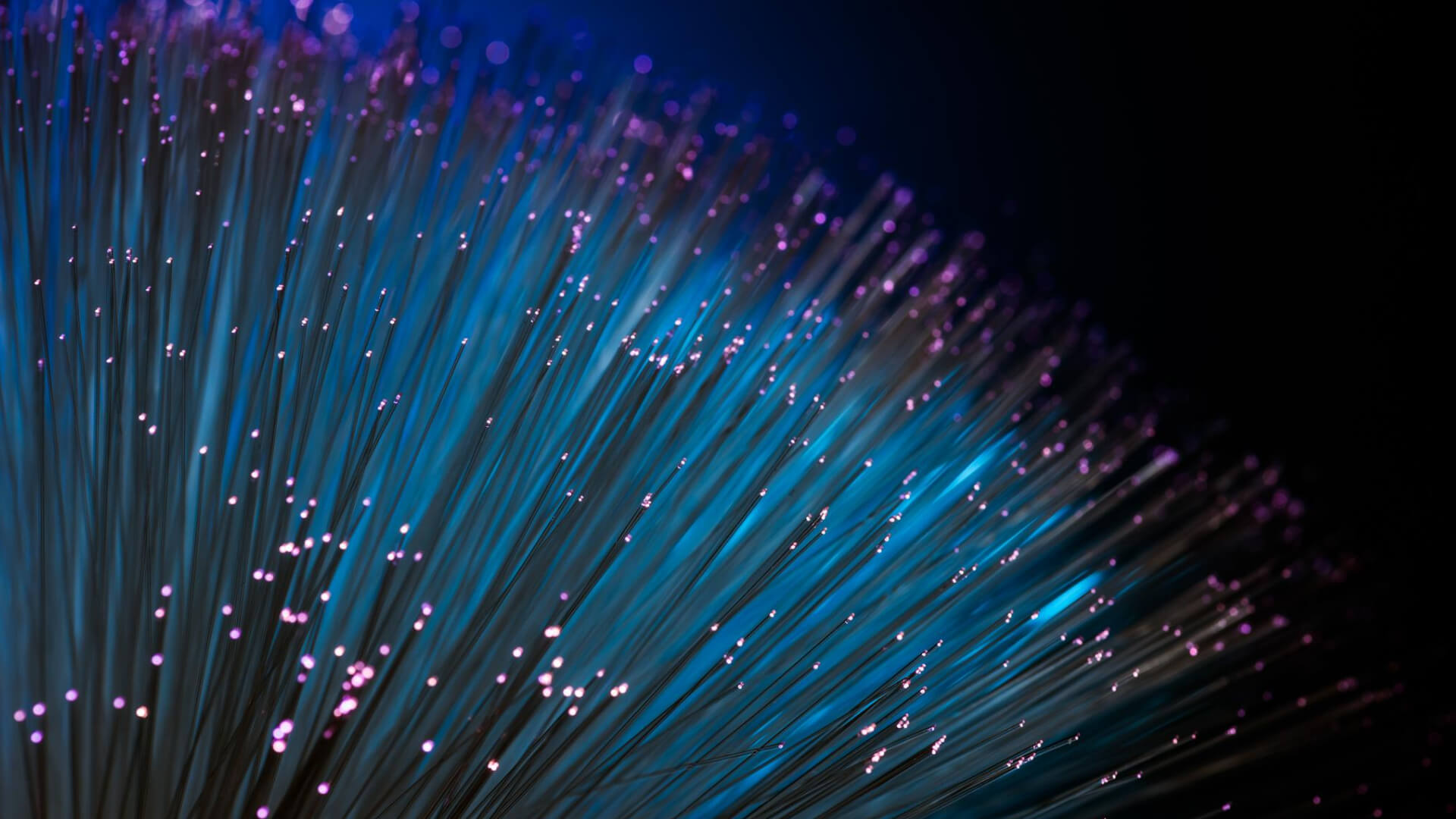 Verifica fibra ottica